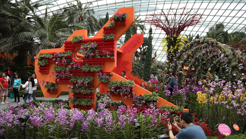 Giant ‘SingaPop’ floral displays, free shows at Gardens by the Bay in August