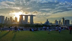 Related article image