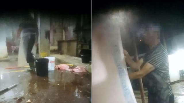 暗中宰杀“病死猪” 中国五家非法屠宰场被取缔