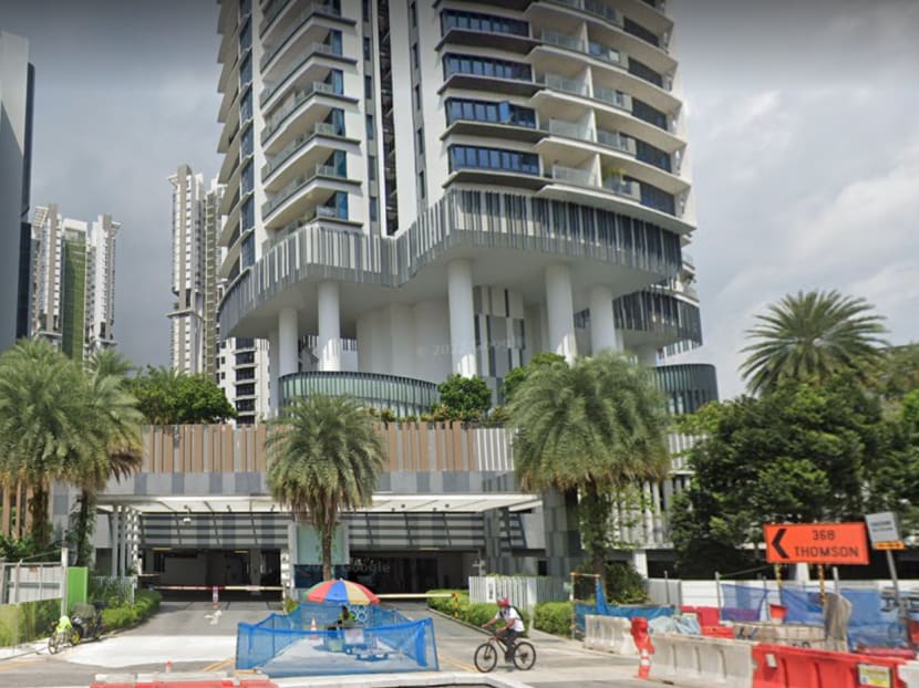 A view of the 368 Thomson condominium complex where Mohamed Salim Shahul Hameed verbally abused and assaulted a security officer on March 7, 2022. A view of the 368 Thomson condominium complex where Mohamed Salim Shahul Hameed verbally abused and assaulted a security officer on March 7, 2022.