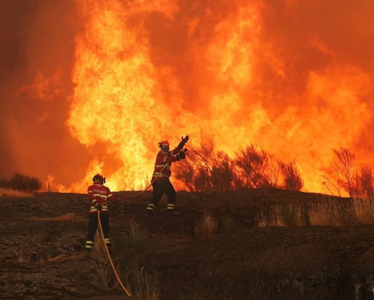Wildfires fanned by heatwave and strong winds rage across Europe