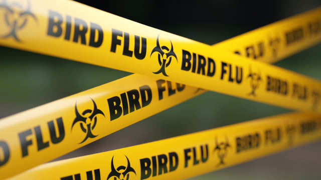 美国出现第二起人类感染H5N1禽流感病例
