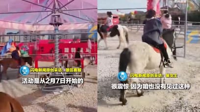 Real Horses Used In Carousel “Ride” At Tourist Attraction In China; Horses Forced To Walk In Circles
