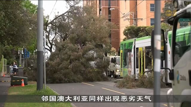 春季风暴席卷新西兰 气象局发布罕见红色预警