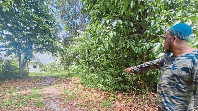 姐弟晨跑走散 15岁少女遭性侵抢劫