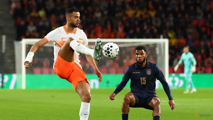 Dutch survive early red card to hold out for draw with Ecuador