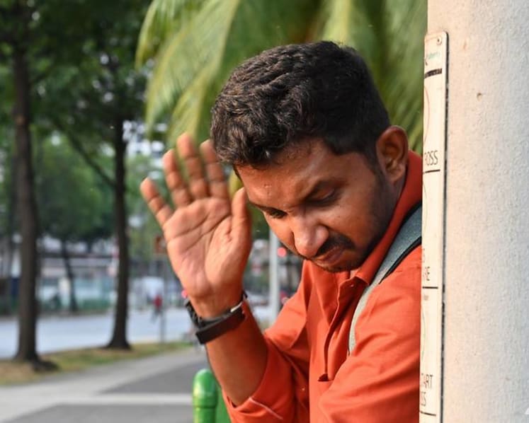 Pandan Reservoir midge infestation: 'You can say that we’ve given up'