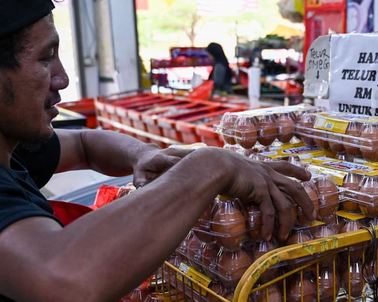 Imported eggs help alleviate local shortage in Malaysia, says agriculture minister