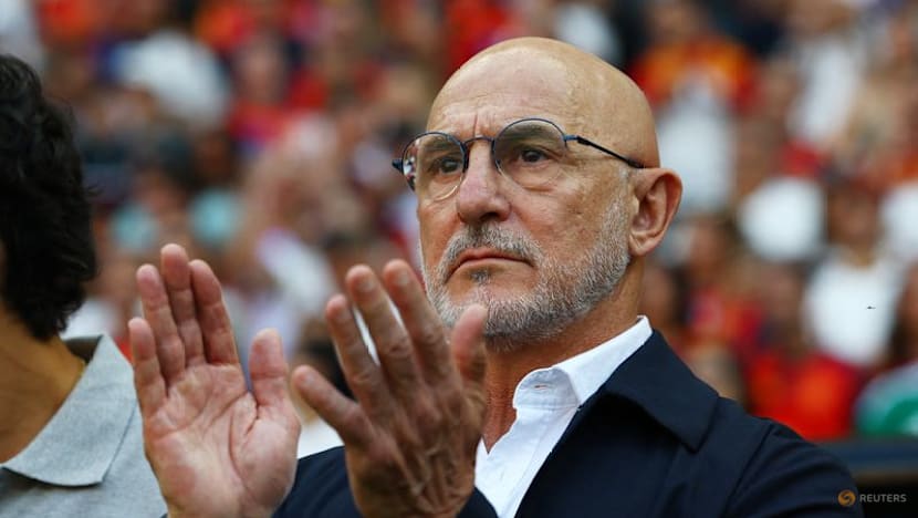 Spain’s De la Fuente praises team's resilience, lauds World Cup progress