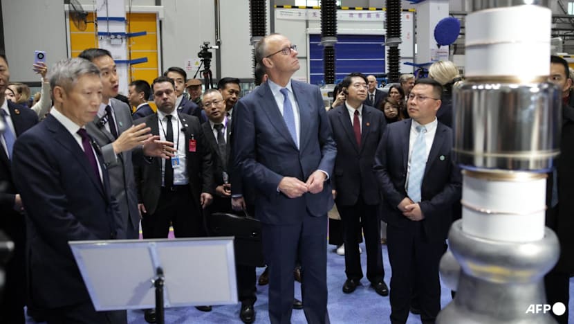 Merz says Germany, China must overcome trade gaps 'together'