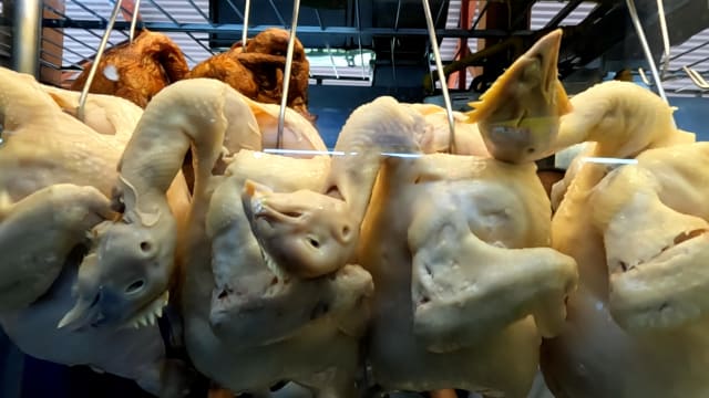 新闻深呼吸+ | 海南鸡饭一周“鸡”录