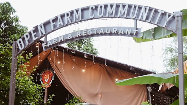 Open Farm Community 1月11日歇业