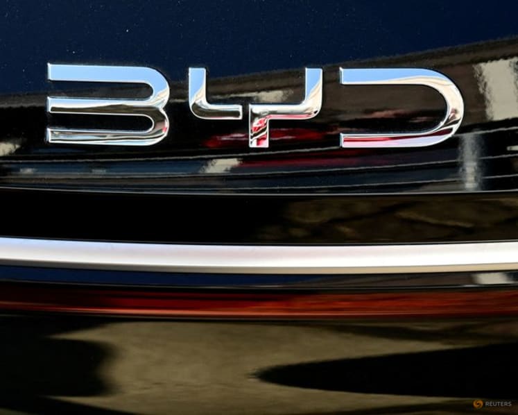 BYD snaps longest streak of sales declines 
