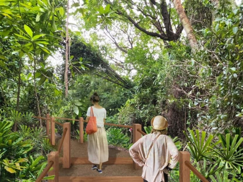 Artist impression of the 230m Ocean Network Express Coastal Forest Trail on Big Sister's Island.