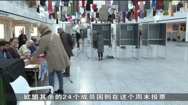 欧洲议会选举在荷兰拉开帷幕