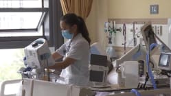 Related article image