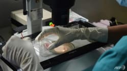 Related article image
