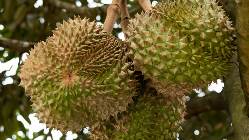 Related article image