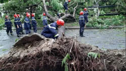 Related article image