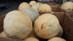 Related article image