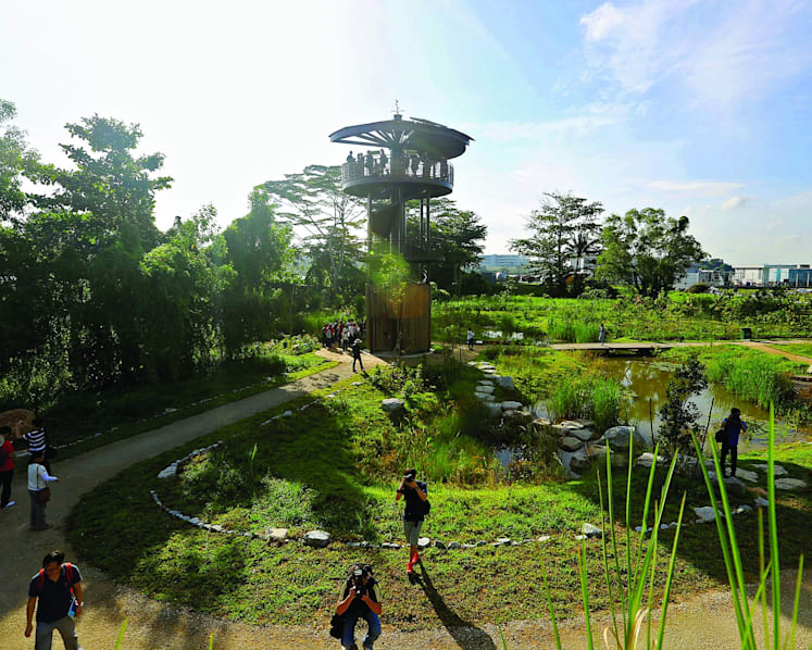 Project aims to quantify worth of forests and marine habitats