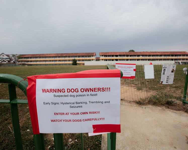 Poisoning 'most likely cause' of dog deaths linked to Parry Avenue field