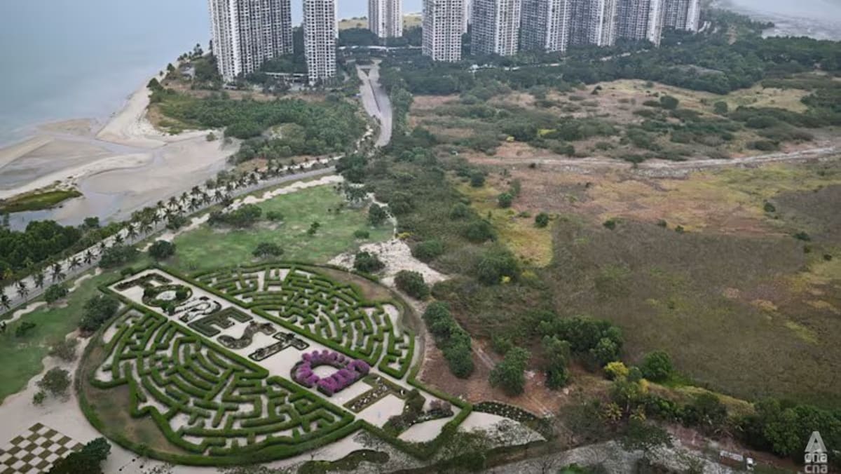 Penipuan, bisnis ilegal jadi hambatan baru bagi kebangkitan Forest City di Johor