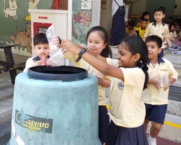 Commentary: Sustainability cannot just be taught in geography lessons