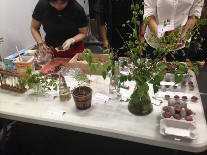 Art and the question of weed