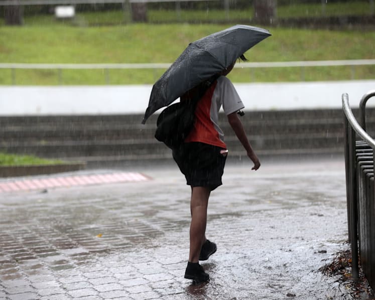 Wetter weather, warm nights expected in second half of August: Met Service