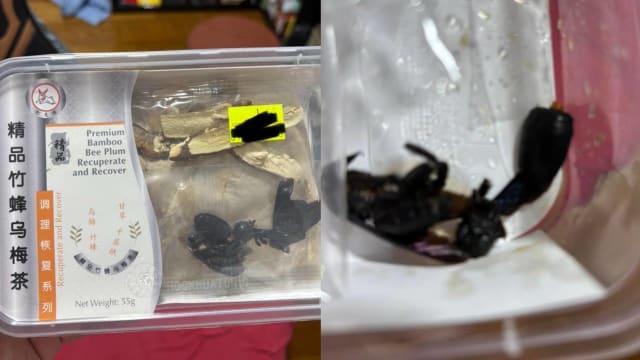 润喉茶里有蜜蜂吓坏顾客 中药行：那是合格中药