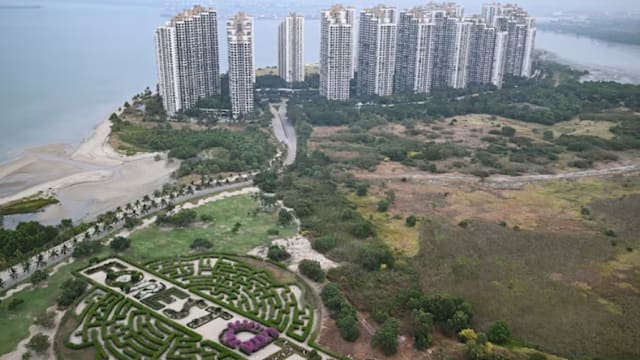 诈骗非法活动添阴影  柔佛森林城市复苏再遇挑战