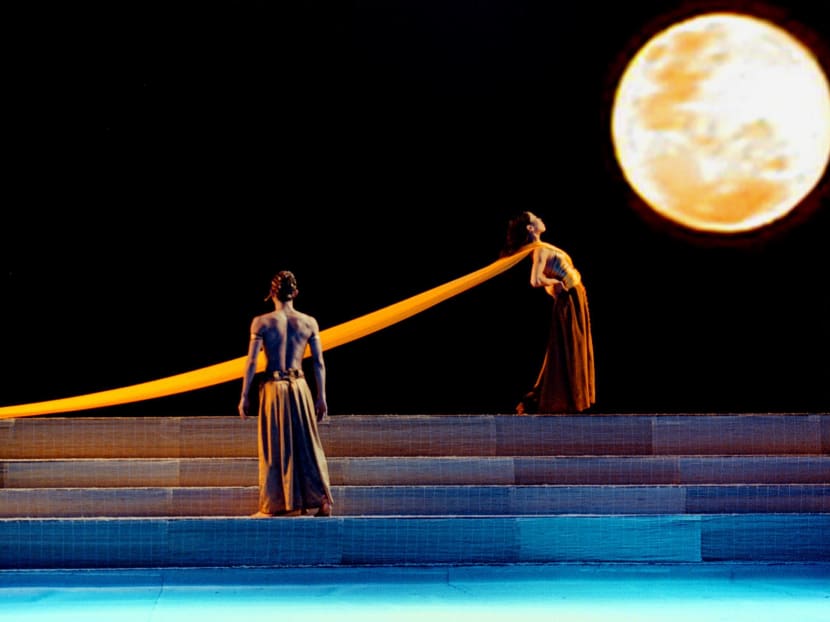 New challenges for Singapore Dance Theatre as it enters its 25th year