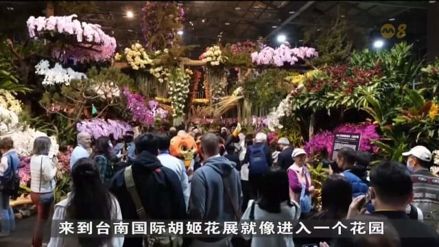  第20届国际胡姬花展 吸引大批访客