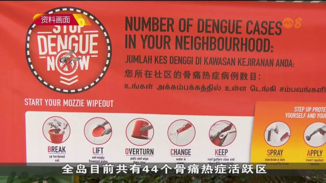 本地骨痛热症新增病例 连续两周增加