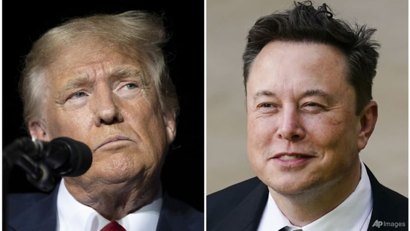 Musk donates to group working to elect Trump: Report Musk donates to group working to elect Trump: Report