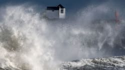 Related article image