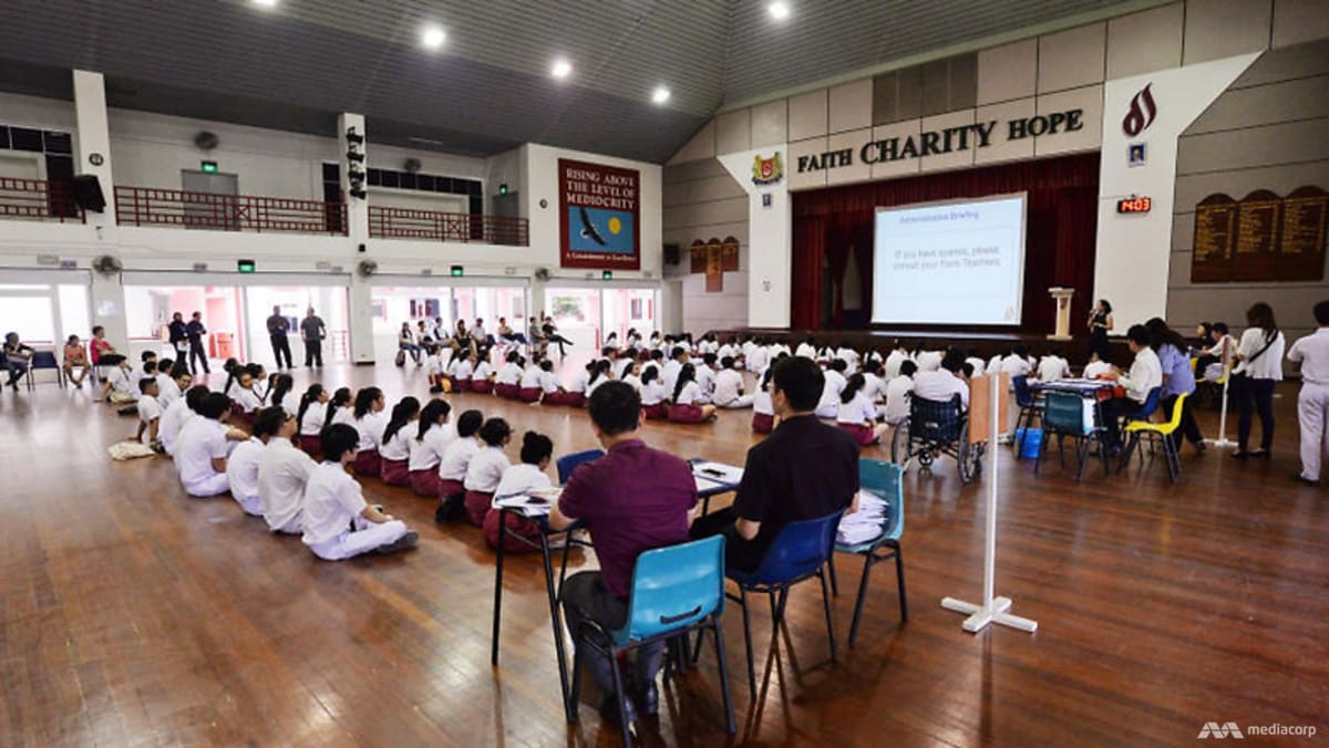 N-Level results to be released on Dec 18