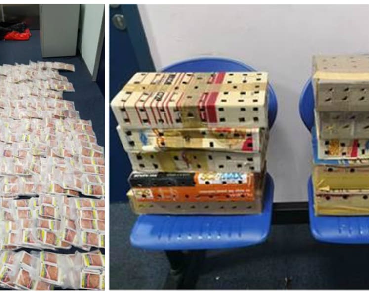 121 live birds, 4,500 sachets of chewing tobacco seized from tour bus at Woodlands