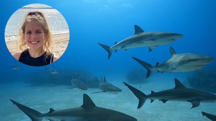 What Makes A Good Shark Documentary? We Ask A Marine Scientist (Who Is Also A Pro Wrestler)