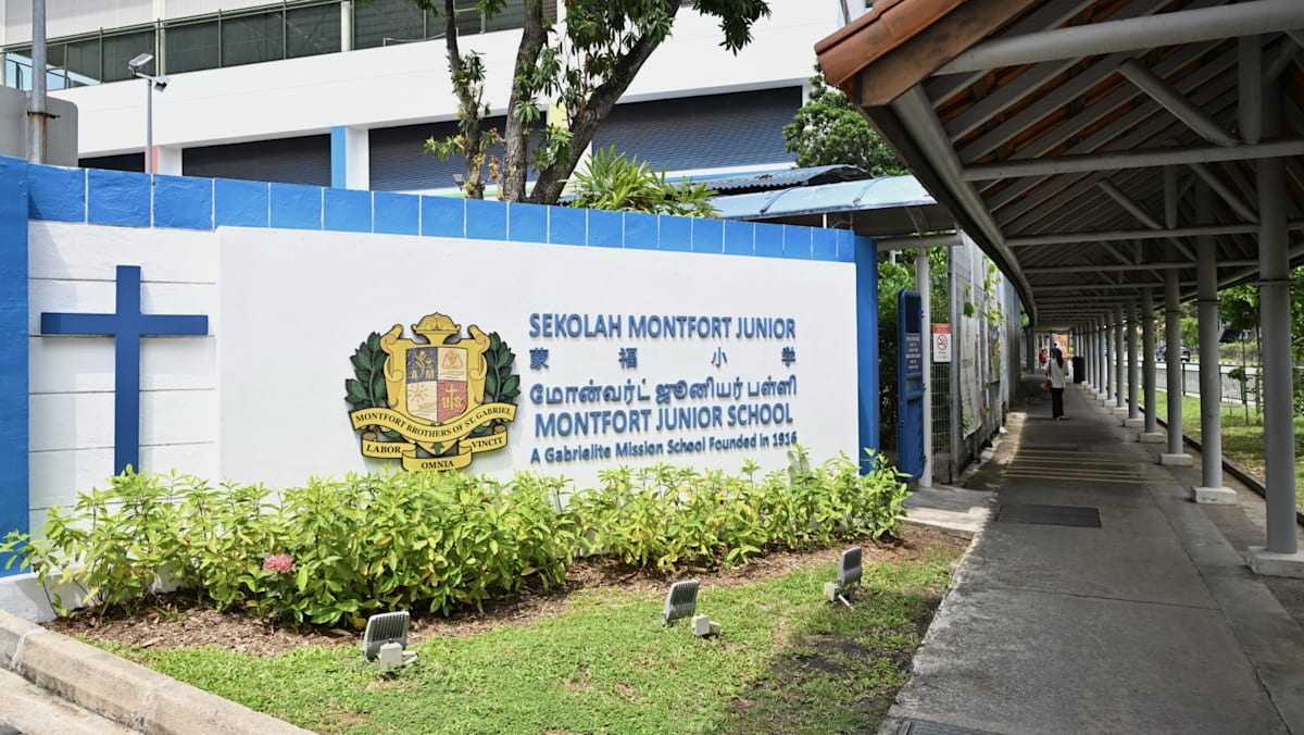 Montfort Junior School to take in girls from 2028