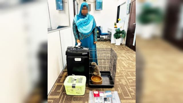 将两长臂猿塞入行李箱 马国女涉走私隆机场落网