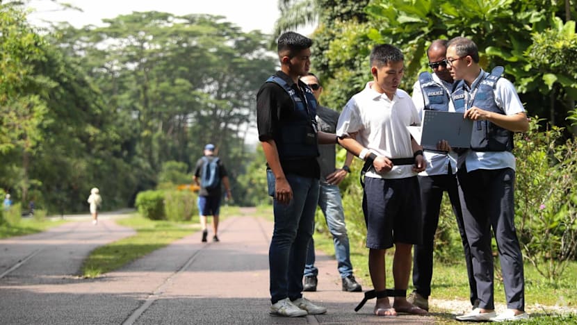 Three foreigners given more than 5 years' jail for conspiring to break into homes and steal valuables