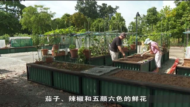 花床租用抽签分配 裕廊湖花园规模最大