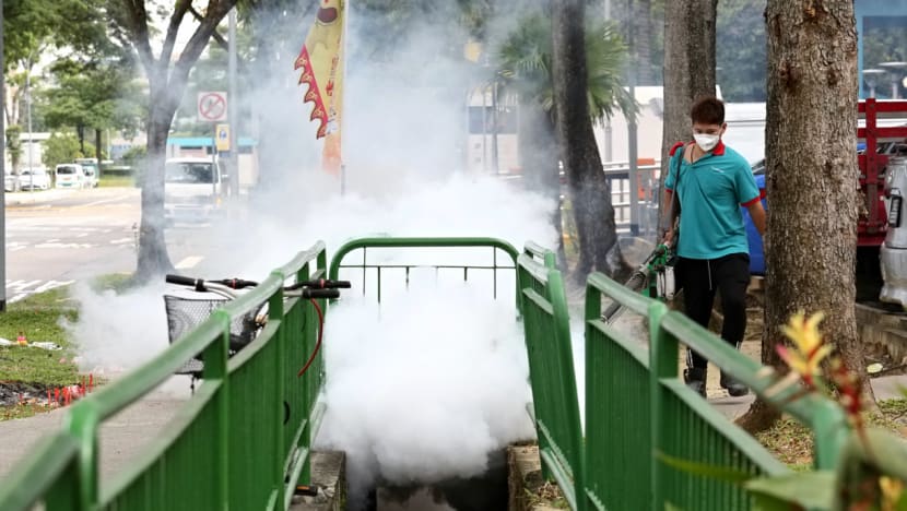 Zika cases hit 215 on Sat, as analysis shows Asian lineage of virus in S'pore
