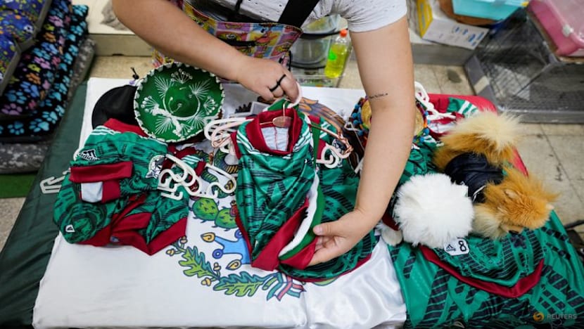 In Mexico, World Cup jerseys fit all shapes, sizes - and species