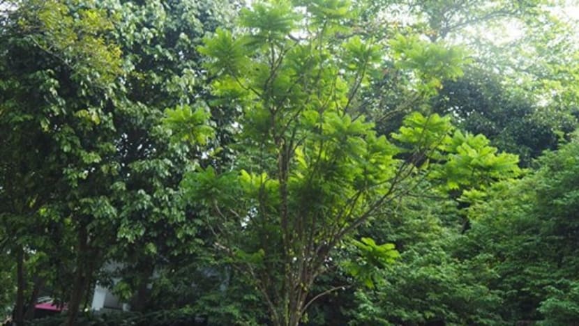 Related article image
