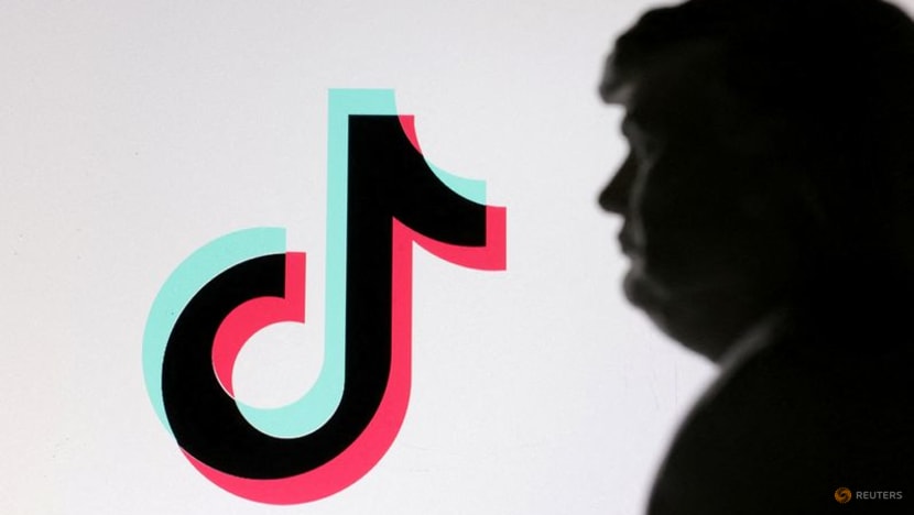 Trump gives TikTok 75-day grace period from US ban Trump gives TikTok 75-day grace period from US ban