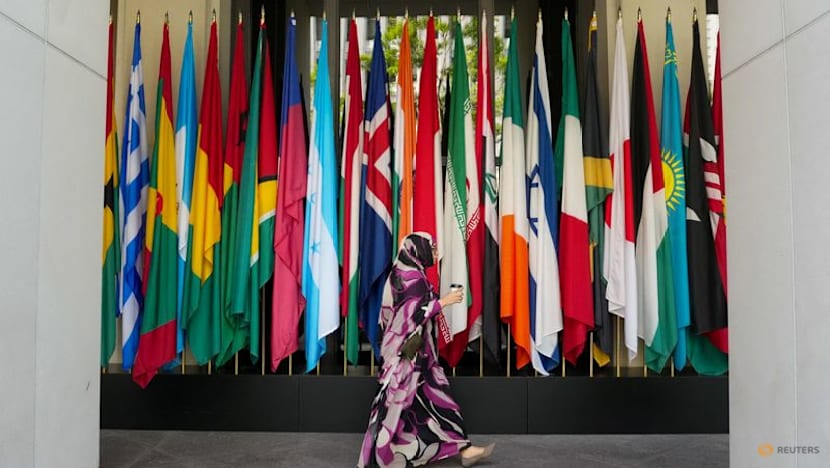 Battle-scarred developing nations look for path out of permacrisis