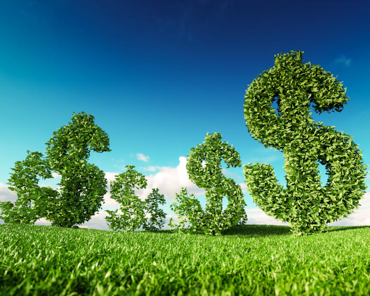 Explainer: What is so ‘green’ about green loans?